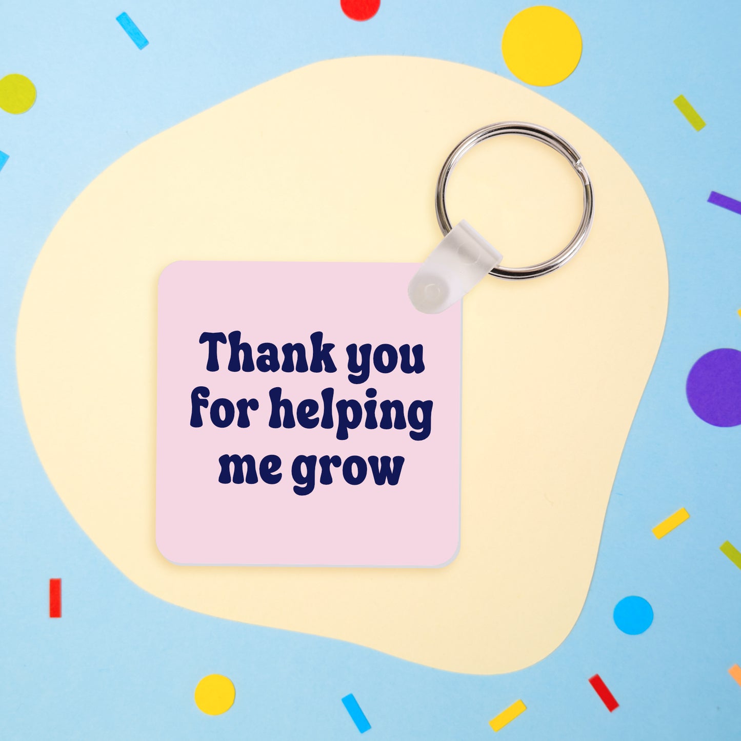 I'm the Favourite Teacher Keyring