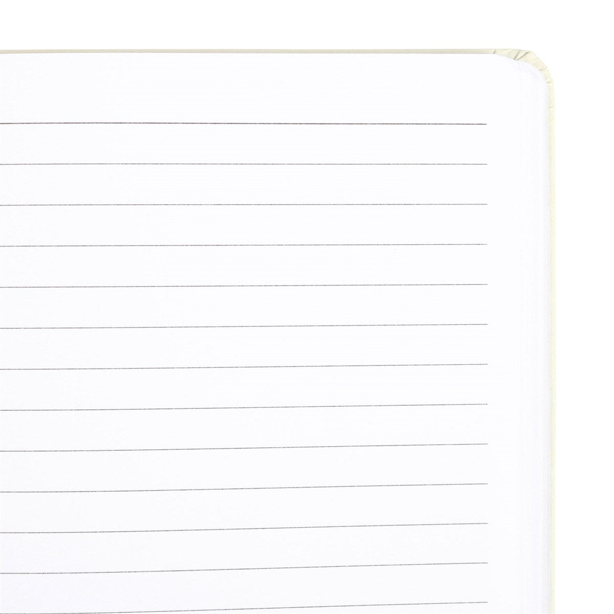 close up of lined paper pages with a white background