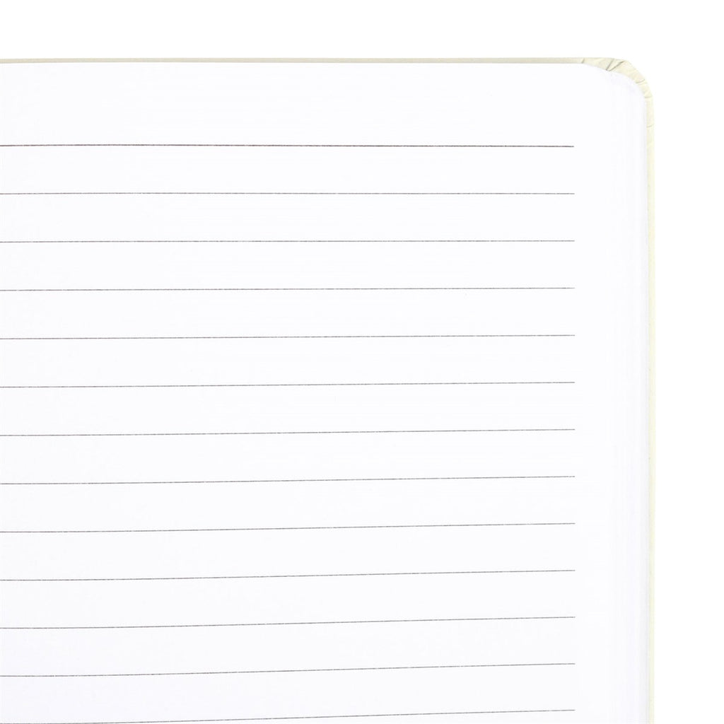view of inside sheet of lined pages with a white background