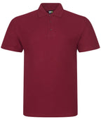 The Polo Bundle
