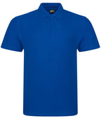 The Polo Bundle